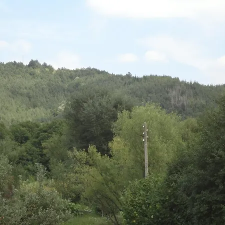 Rekata Oreshak (Lovech)